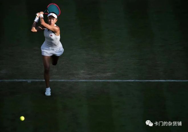 智慧的较量 智慧的较量